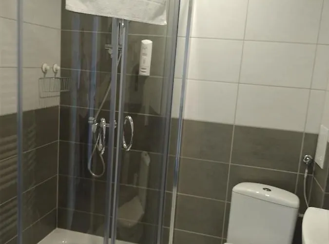 Homer Osrodek Rehabilitacji I Szkolenia Pzn 2*