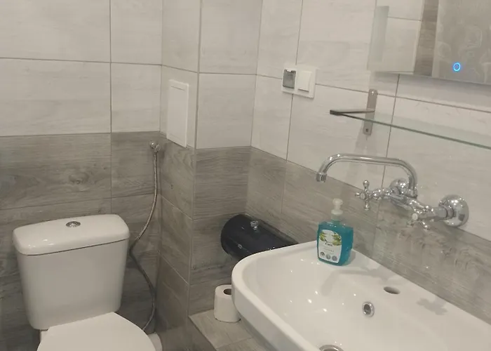 Otel Homer Osrodek Rehabilitacji I Szkolenia Pzn 2*