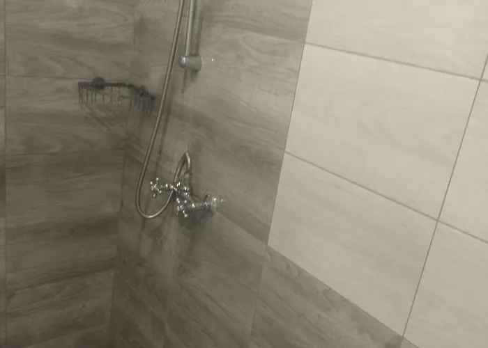 Homer Osrodek Rehabilitacji I Szkolenia Pzn Bydgoszcz