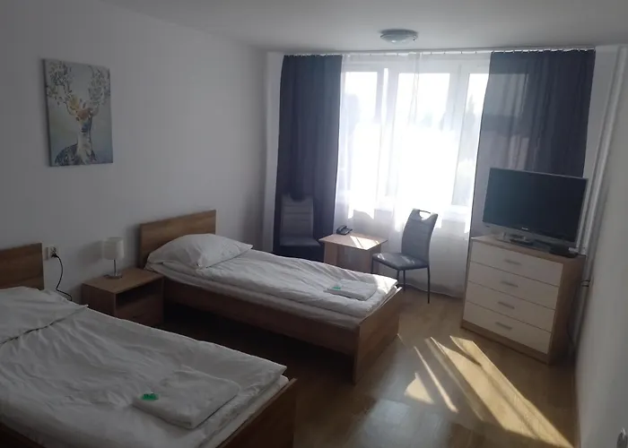 Homer Osrodek Rehabilitacji I Szkolenia Pzn