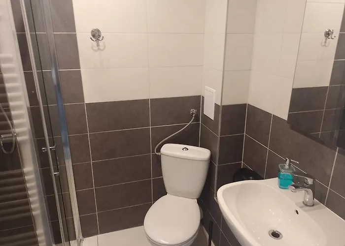 Homer Osrodek Rehabilitacji I Szkolenia Pzn