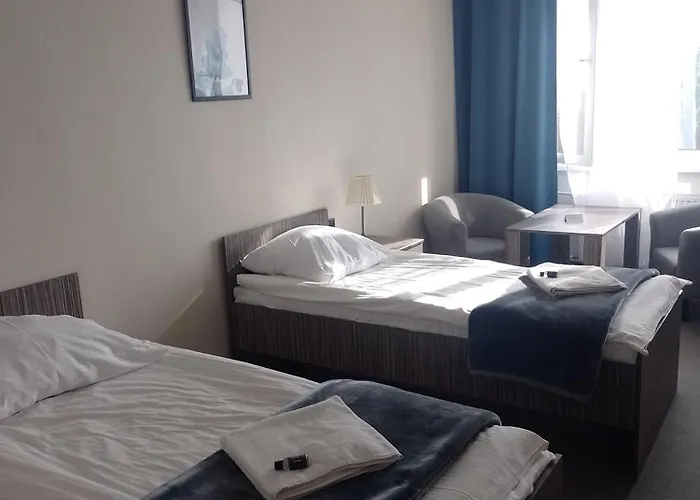 Homer Osrodek Rehabilitacji I Szkolenia Pzn Otel 2*