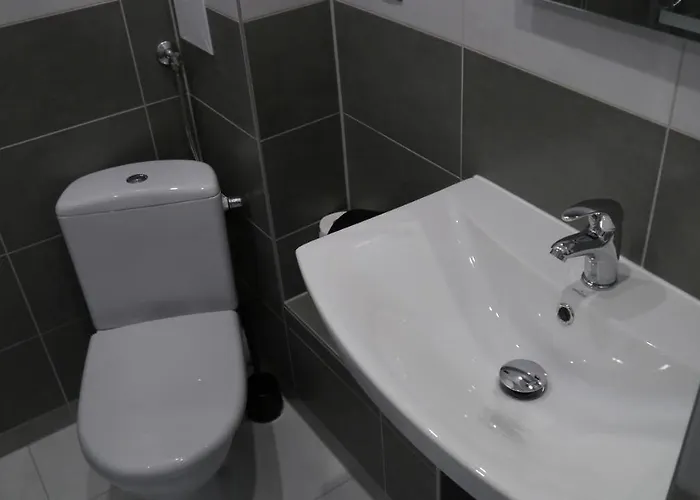 Homer Osrodek Rehabilitacji I Szkolenia Pzn Otel