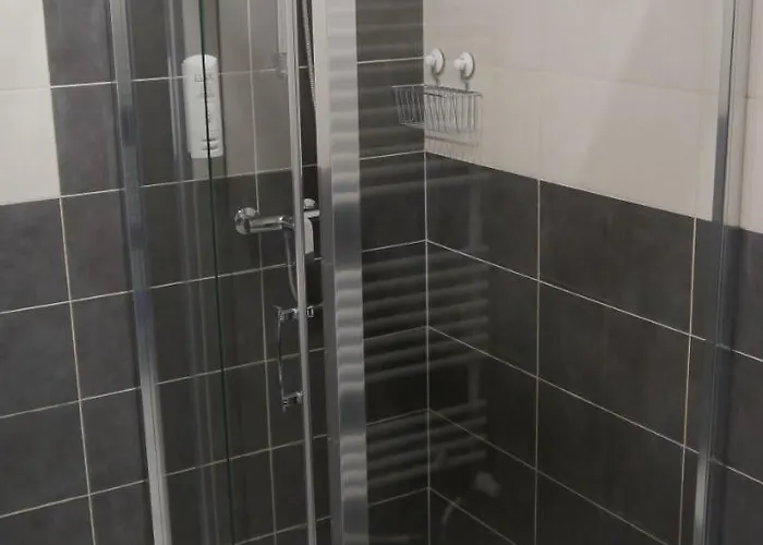 Homer Osrodek Rehabilitacji I Szkolenia Pzn Bydgoszcz