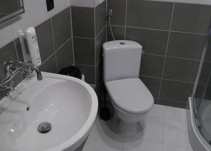 Otel Homer Osrodek Rehabilitacji I Szkolenia Pzn 2*